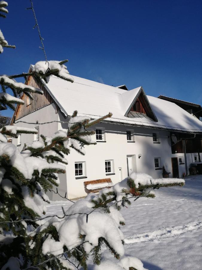 Ferienhaus Krallinger Abtenau Luaran gambar