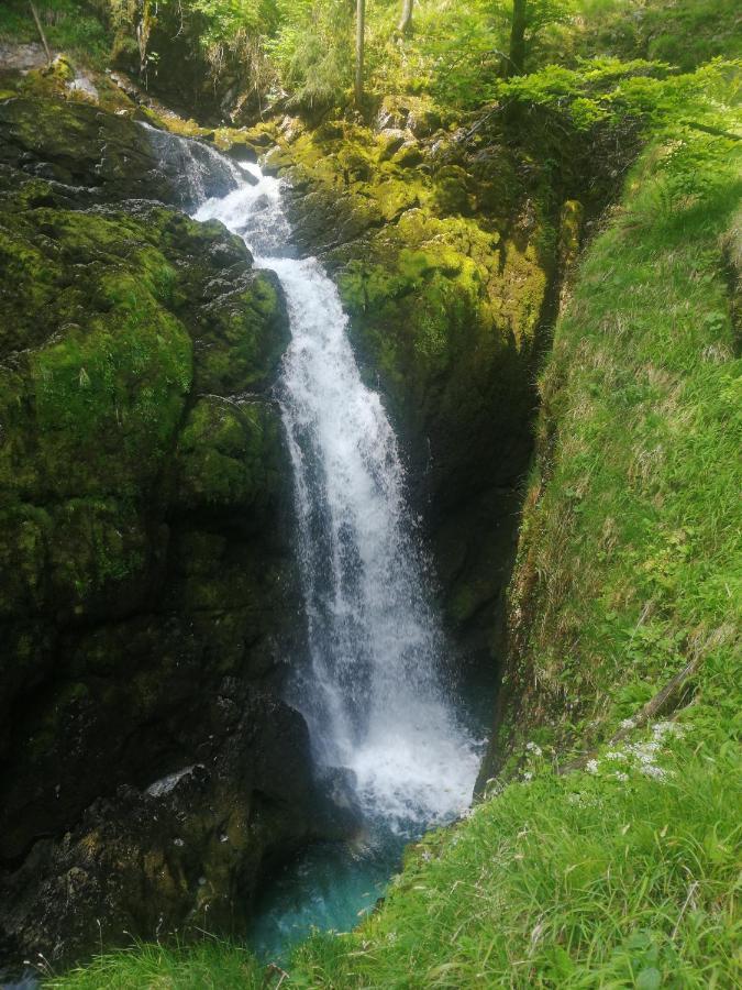 Ferienhaus Krallinger Abtenau Luaran gambar