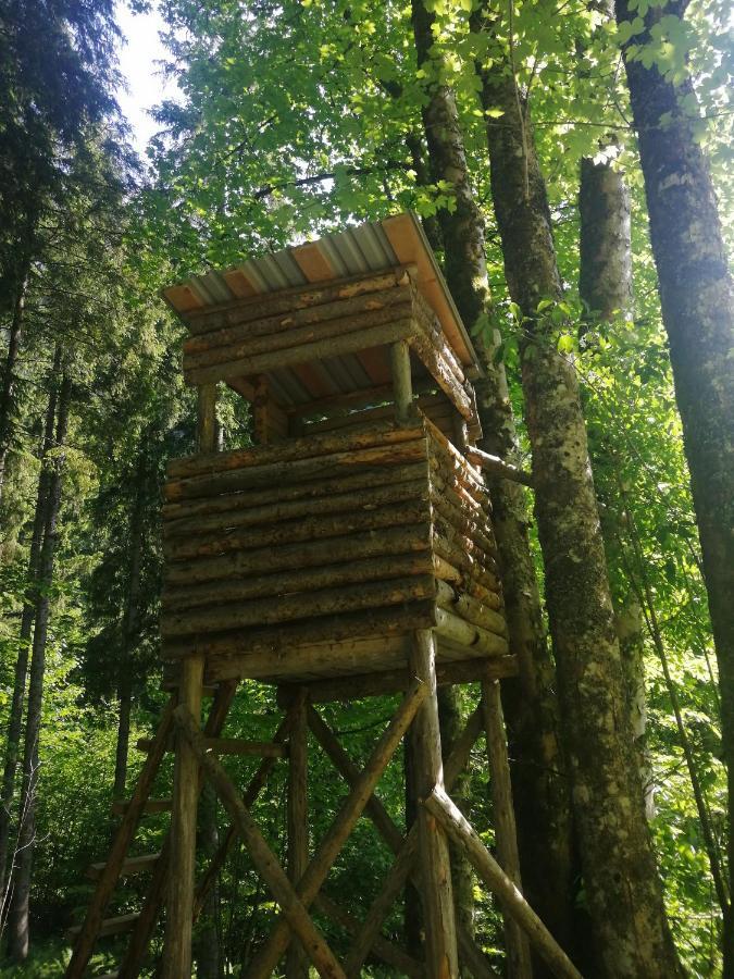 Ferienhaus Krallinger Abtenau Luaran gambar